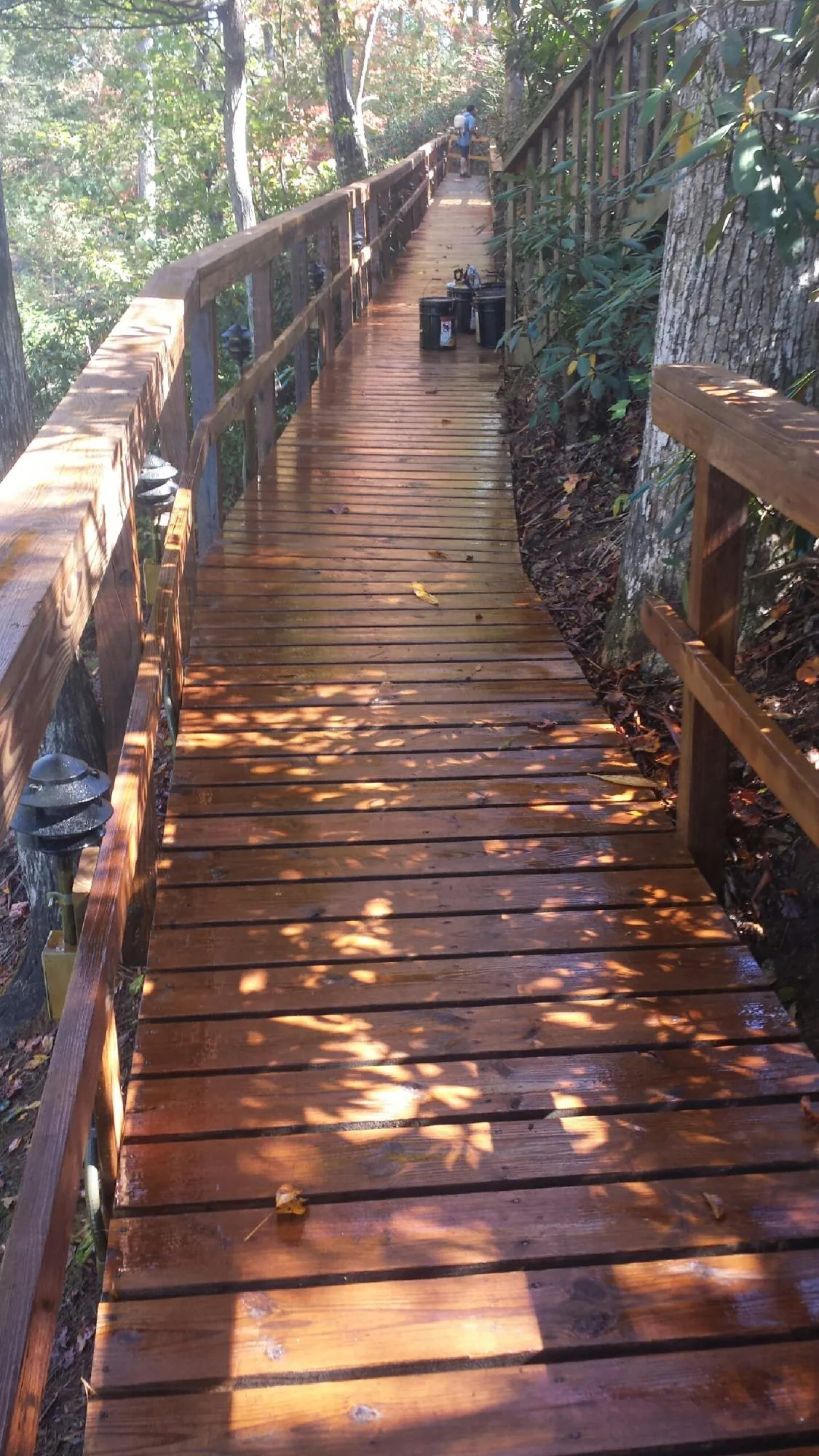 Freshly stained wood walkway winding through the woods in Saratoga Springs